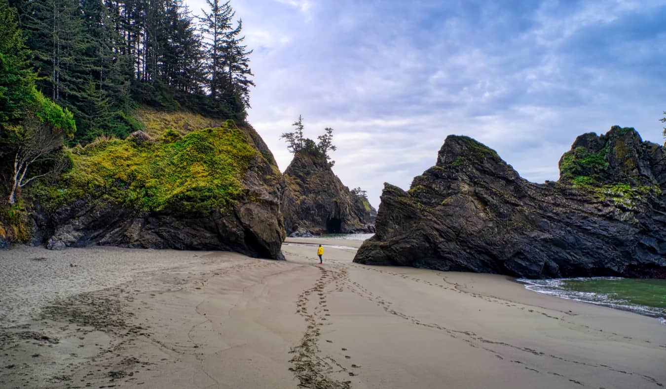 The 13 Best Things to See & Do on the Oregon Coast in 2024